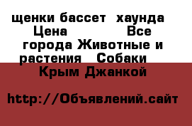 щенки бассет- хаунда › Цена ­ 20 000 - Все города Животные и растения » Собаки   . Крым,Джанкой